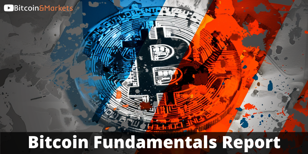 Bitcoin Fundamentals Report #290