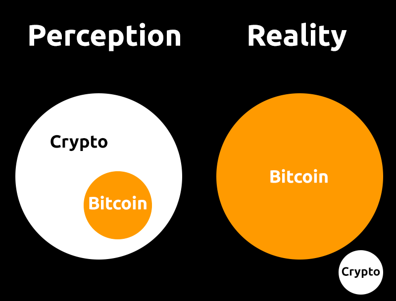 Bitcoin Fundamentals Report #217